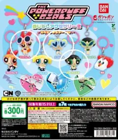 パワーパフガールズ めじるしアクセサリー2 3種セット