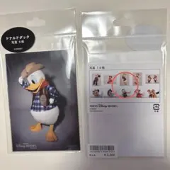 ディズニー　ドナルド　写真　ブロマイド　生写真