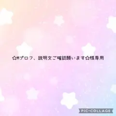 スライム プロフ確認お願いします様専用 ページ - メルカリ