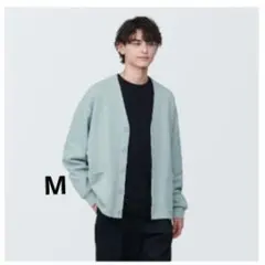 Item thumbnail for item 4ad37280-1b6d-4d7e-8e11-d2e9d6f22bcc