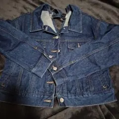 レピピアルマリオ♡Gジャン　М