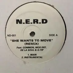 N.E.R.D She Wants To Move (Remix)