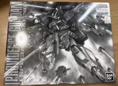 MG 1/100 プロヴィデンスガンダム スペシャルコーティング 新品未開封