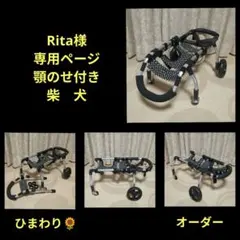 Rita様専用　柴犬4輪　リハビリ　食事補助　犬用車椅子　介護　犬の歩行器
