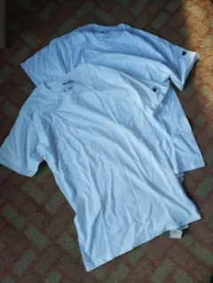 2枚組　チャンピオン　白無地＋袖口ロゴ刺繍入り　綿100％丸首Tシャツ