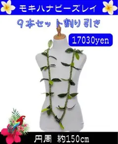 Item thumbnail for item 1a1ff9d0-1378-44ba-a425-fb95cb41ab33