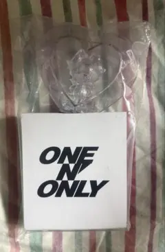 ONE N' ONLY ワンエン ペンライト #006