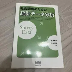 統計データ分析　本