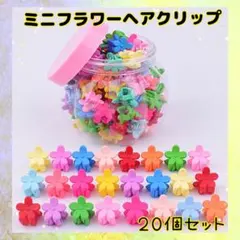 M25_花 ミニ ヘアクリップ 20個 カラフル 髪留め ヘアアクセサリー