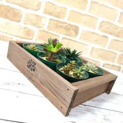 さやママ☆プロフご一読下さい様 リクエスト 2点 まとめ商品