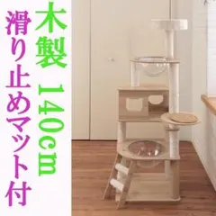 Item thumbnail for item 5a715c6f-0d5f-441d-bec0-0f51f2f2d2b8