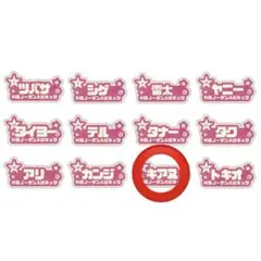 秋田ノーザンハピネッツ グッツ