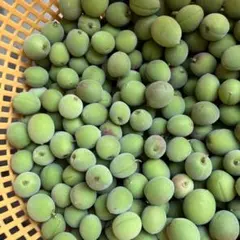 信州産　小梅3キロのサムネイル