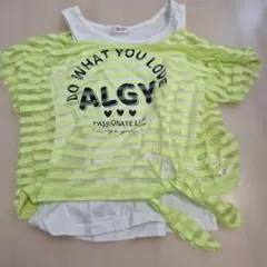 ALGY ストライプ Tシャツ Sサイズ