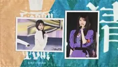 乃木坂46　矢田萌華　生写真　CHOOSE5PHOTOS!　13thyearBD