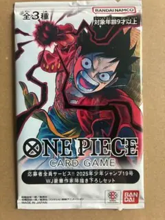 【24時間以内発送】ONE PIECEカード ジャンプ 19 応募者全員サービス