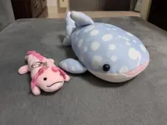 海遊館 ジンベエザメ ウーパールーパー ぬいぐるみセットのサムネイル