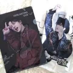 BTS JIN ソクジン センイルグッズ エコバッグ&A4クリアホルダーセット