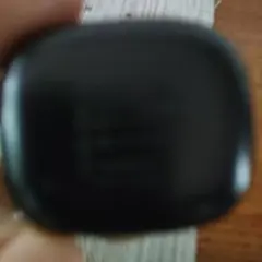 ミズエブス1