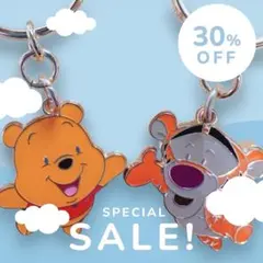 プーさん ＆ ティガー キーチェーン セット ディズニーリゾート限定