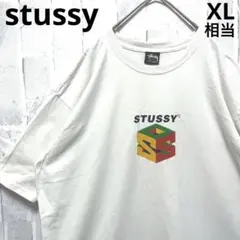 stussy ステューシー 半袖 Tシャツ s64 pig dyed tee L