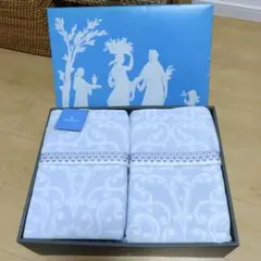 【訳あり】WEDGWOOD 水色 タオルケット 2枚セット190cm✕140cmのサムネイル