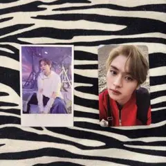 straykids リノトレカ