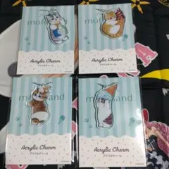 限定ファミマmofusandコラボアクリルチャーム全種