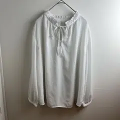 ROPE' PICNIC ロペピクニック 前後 2WAY 長袖 シアー ブラウス