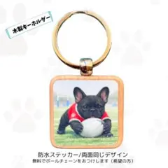 Item thumbnail for item 72bf355b-6569-45d0-8067-086ae4c6fbf5