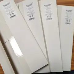 Item thumbnail for item 720f5e13-f6eb-49cd-8ca2-704455045247