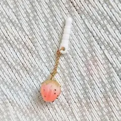 ✧⁠329✧⁠イヤホン/マスク アクセサリー