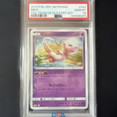 PSA10 ポッチャマM 007/022 ランダム 2009 超克の時空へ - メルカリ