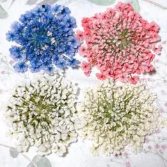 押し花素材＊レースフラワー　大サイズ10