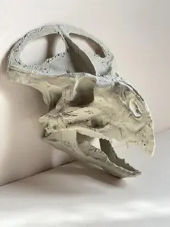 スピノサウルス 頭骨 スカル レプリカ 恐竜 模型 標本 インテリア