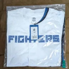 Item thumbnail for item 8fffbec3-e8bf-4a52-9dd9-744476dcee3b