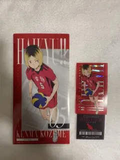 ハイキュー!! 一番くじ　最強の挑戦者　チケットケース＆クリアカードセット　孤爪
