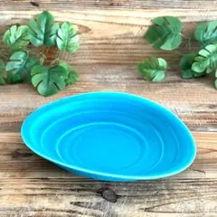 たわみ鉢 カレー皿 パスタ皿 サラダボウル マットターコイズ 美濃焼