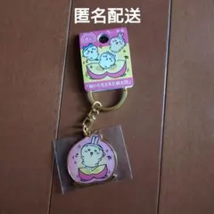 未開封】アドベンチャーワールド パンダ アクリルキーホルダー - メルカリ