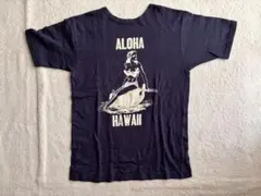 WAREHOUSE ウエアハウス へラーズカフェ　tシャツ hawailのサムネイル