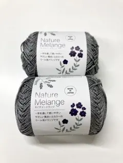 Item thumbnail for item 6b4dddfe-1534-4ee1-8757-b890c3de64a3