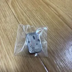 SUPER BEAVER ピンバッジ ガチャ