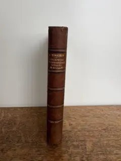 インゼル文庫 No. 163 ドイツ 紋章芸術 紋章図鑑 洋書 - メルカリ