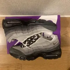 NIKE SB airmax95 カカオワオ　1回短時間着用