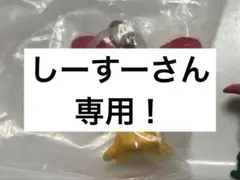 しーすーさん専用！
