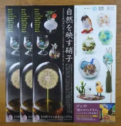 Item thumbnail for item ae46944b-c560-4cf8-a4a7-8b56815fa6e7