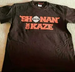 Item thumbnail for item 2dbae418-2a39-444b-971c-0318c7d7f160