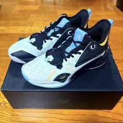 美品 361° 「ZEN 5」 NBA アーロンゴードン 値段交渉可のサムネイル