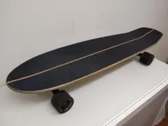 Carver カーバー サーフスケートボード Mini Simms ミニシモンズ