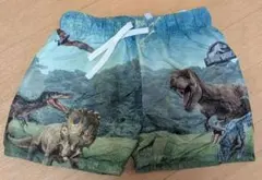 【H&M】ジュラシックワールド 恐竜 スイムパンツ 100 110 水着